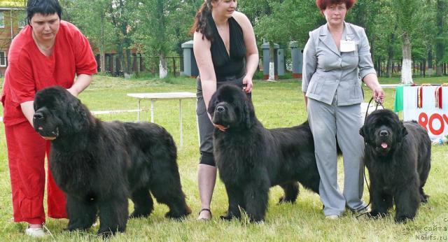 Фотография № 42233