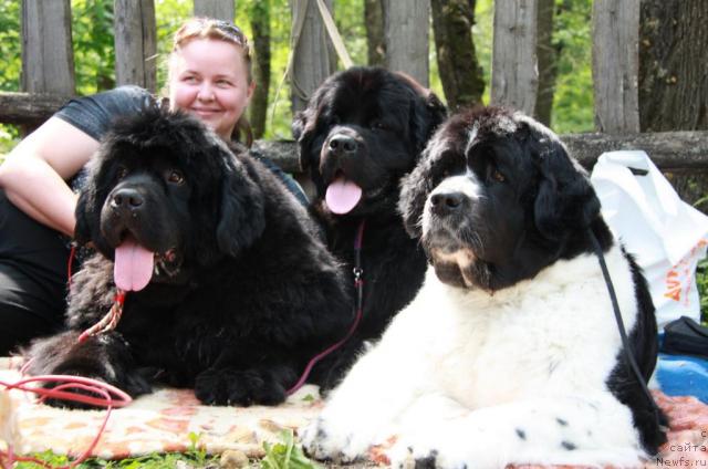 Фотография № 42254