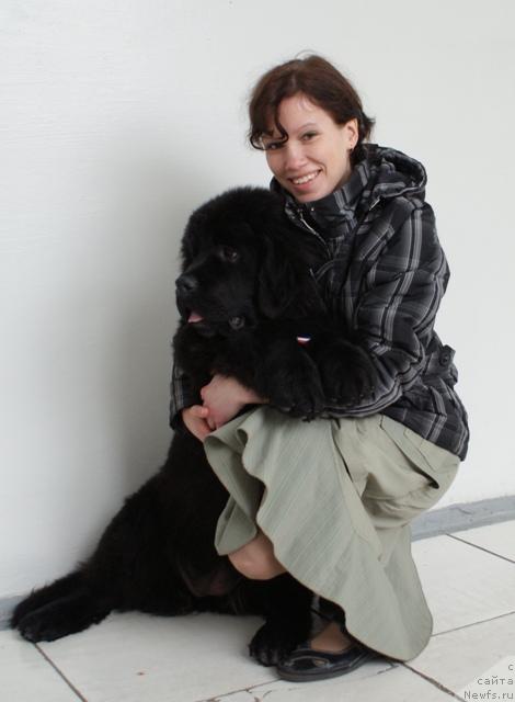 Фото: ньюфаундленд Акватория Келвин Ламборджини (Aquatoriya Kelvin Lambordghini), Анастасия Мищенко