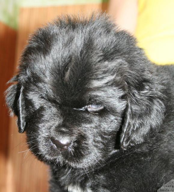 Фото: Бегущая по волнам Харизма