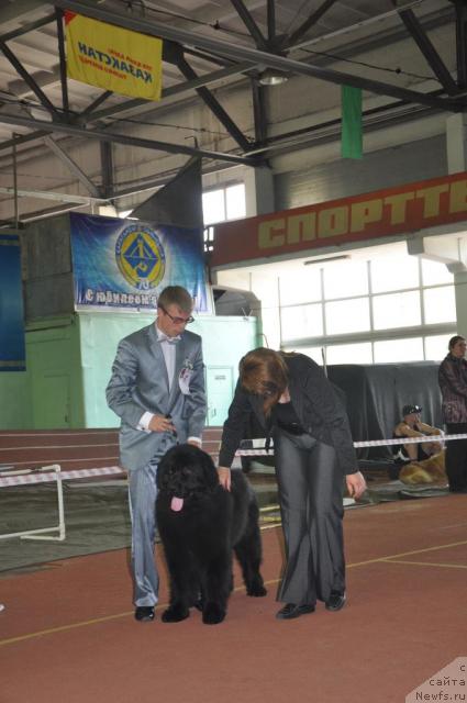 Фотография № 42373