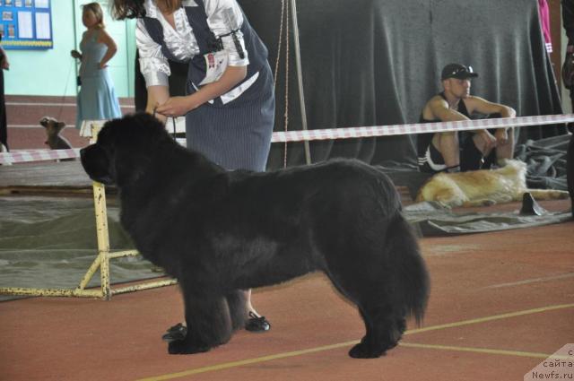 Фотография № 42375