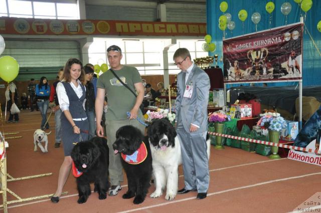 Фотография № 42376