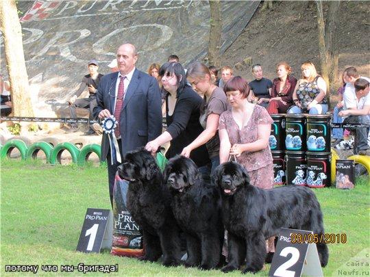 Фотография № 42379