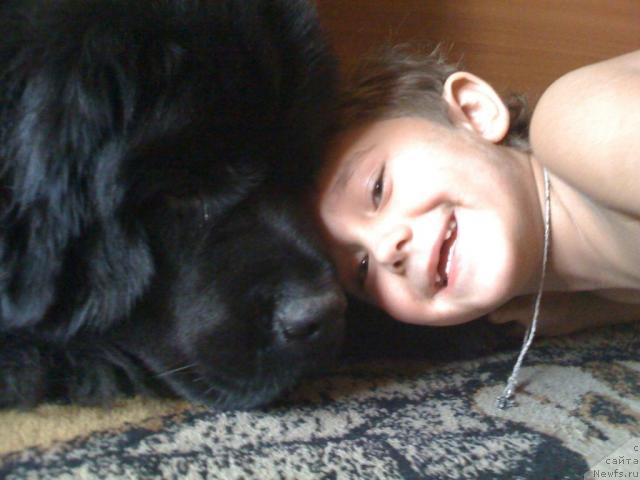 Фотография № 42383