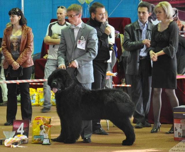 Фотография № 42384