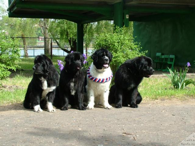 Фотография № 42385