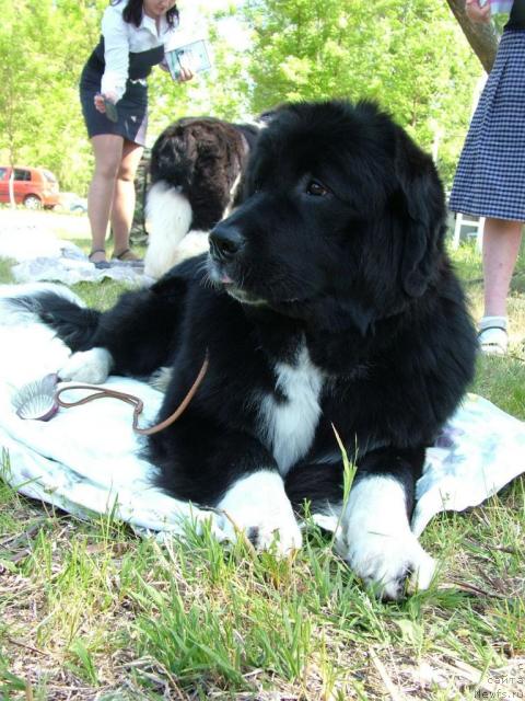 Фотография № 42389