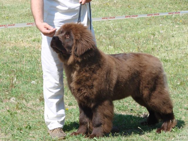 Фотография № 42397