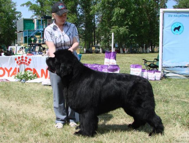 Фотография № 42399