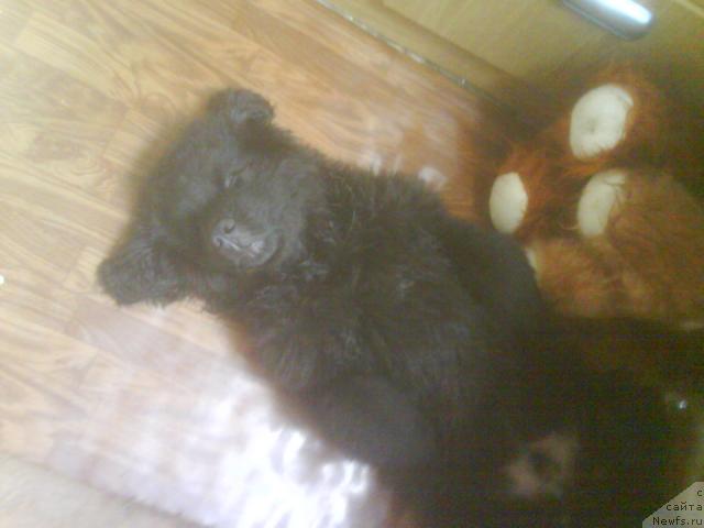 Фотография № 4240