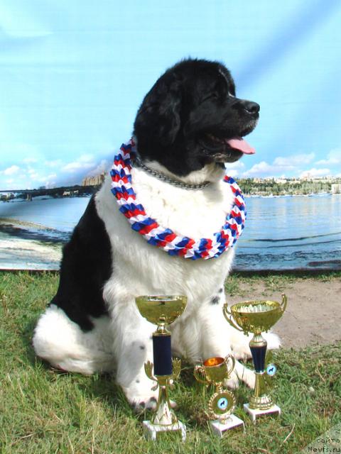 Фотография № 42409