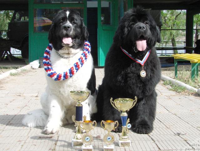 Фотография № 42410