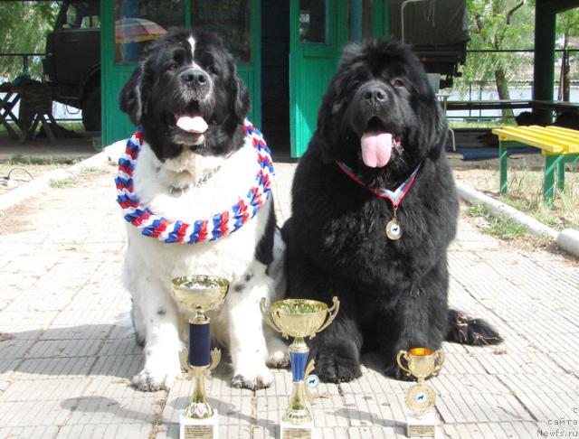 Фотография № 42411