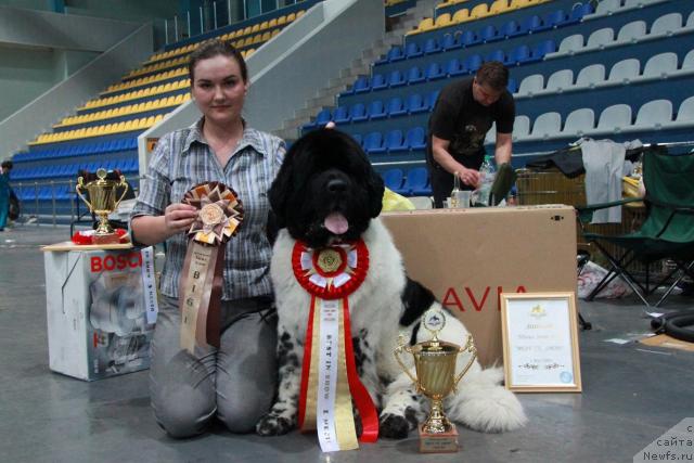 Фотография № 42420