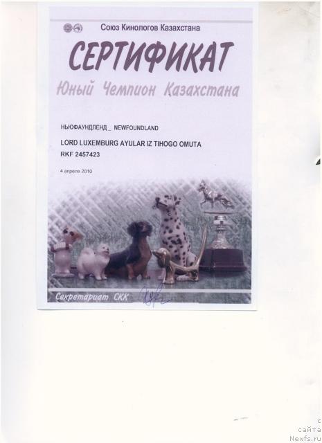 Фотография № 42424