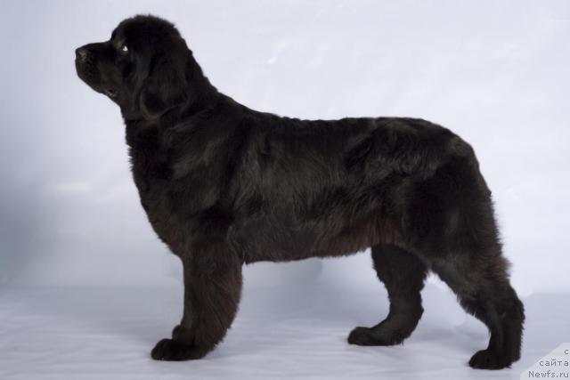 Фотография № 42426