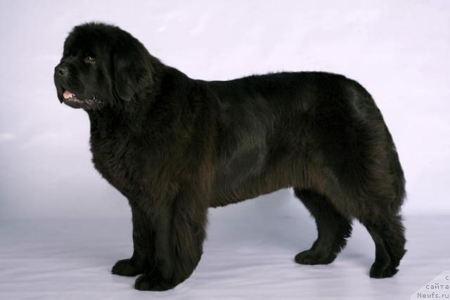 Фотография № 42427