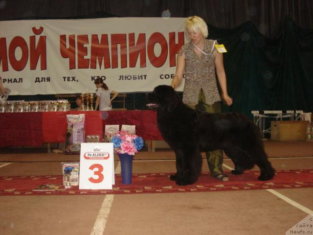 Фотография № 42461