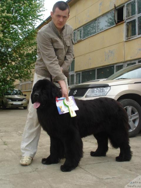 Фотография № 42484