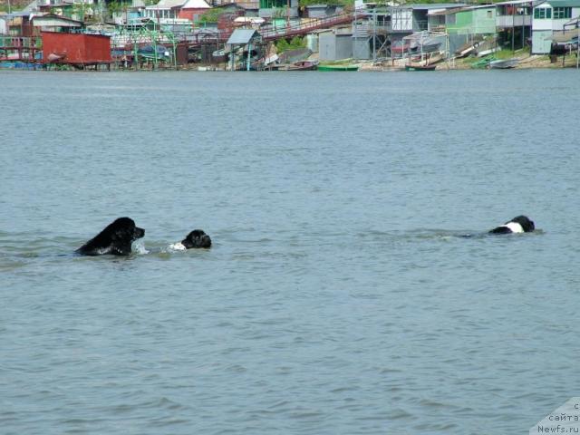 Фотография № 42496