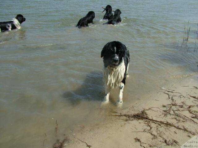 Фотография № 42497