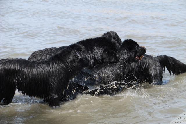 Фотография № 42499