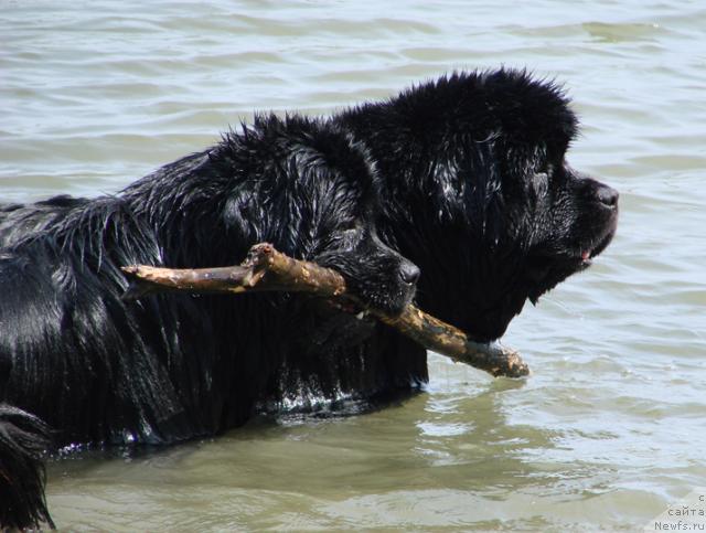 Фотография № 42500