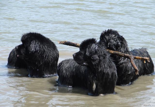 Фотография № 42502