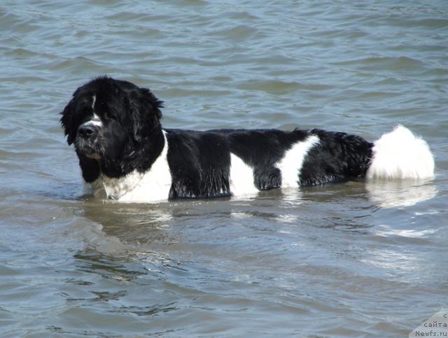 Фотография № 42503