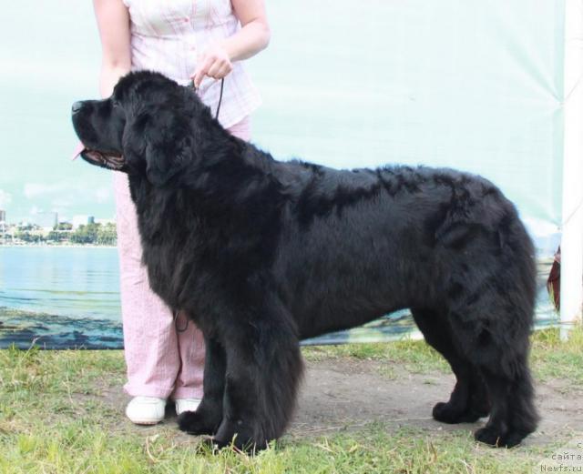 Фотография № 42506