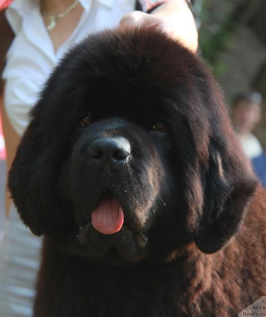 Фотография № 42516