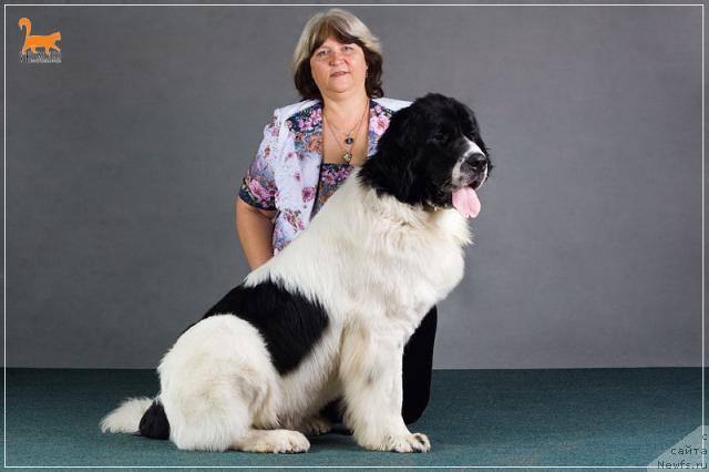 Фотография № 42520