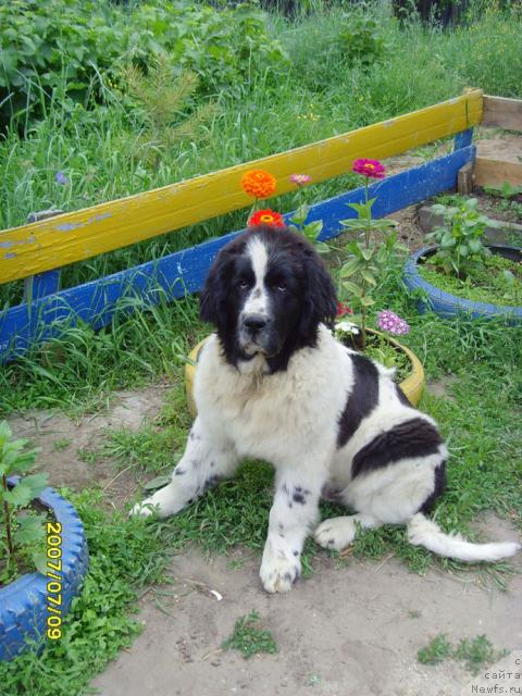 Фото: Наталья Поведская