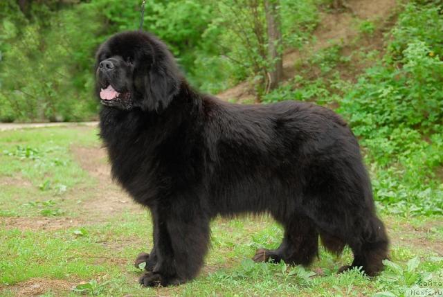 Фотография № 42548