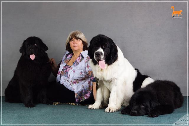 Фотография № 42598