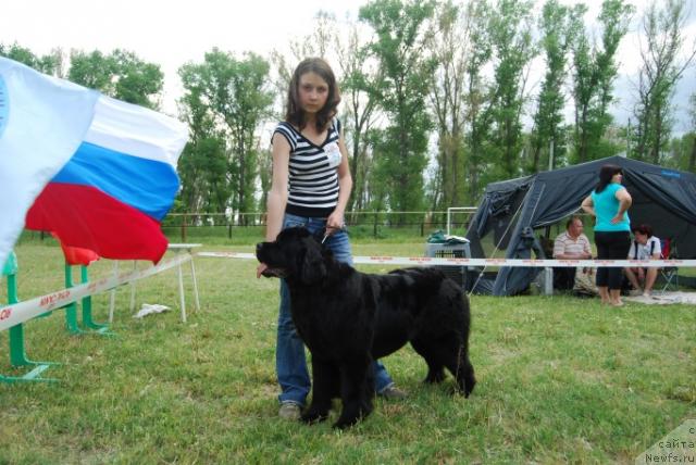 Фотография № 42645