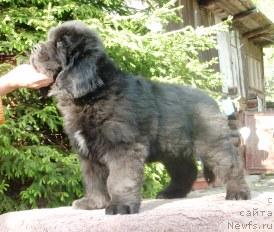 Фотография № 42680