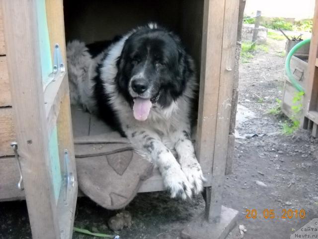 Фото: Владимир Красников, фотограф