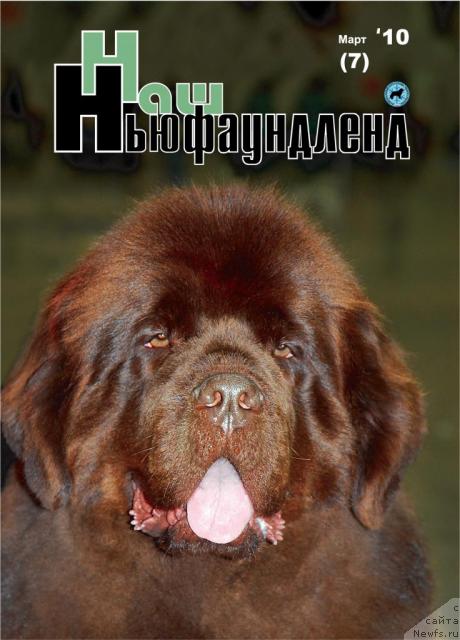 Фотография № 42753