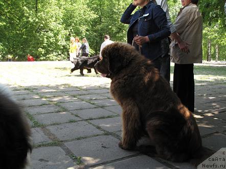 Фотография № 42781