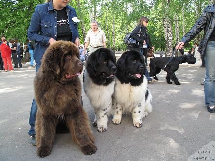 Фотография № 42782