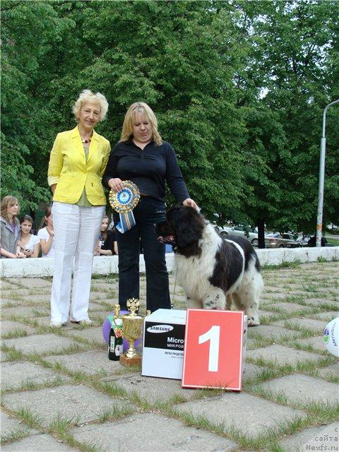 Фотография № 42791