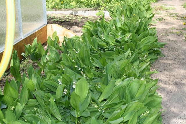 Фотография № 42792