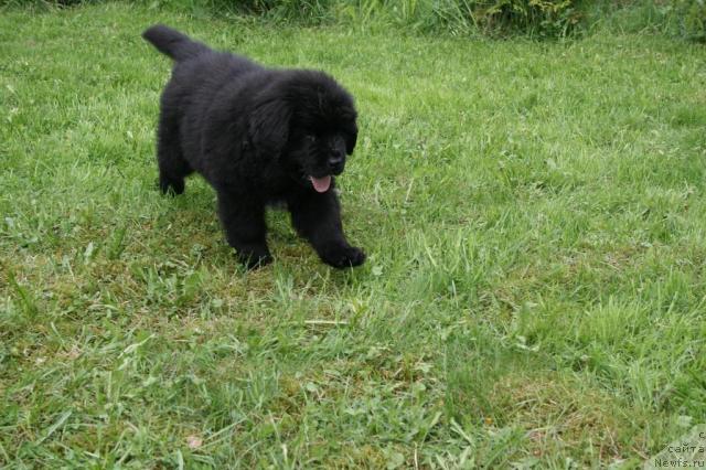 Фото: Наталия Рятсеп