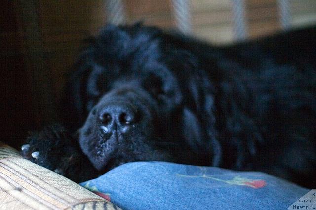 Фотография № 42797