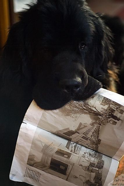 Фотография № 42798