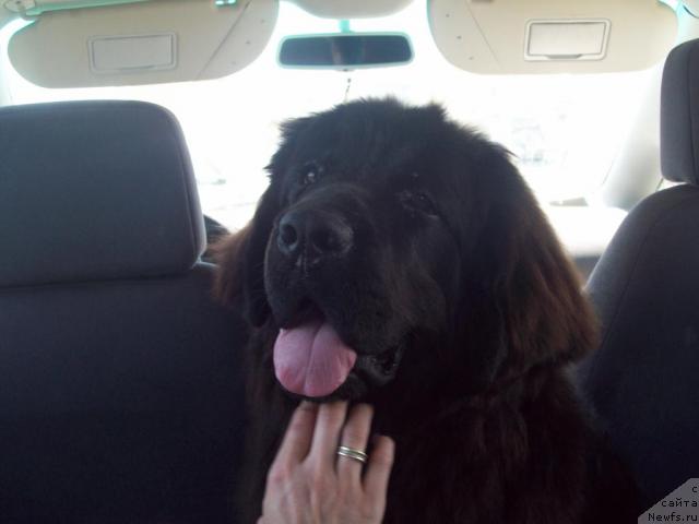 Фотография № 42803