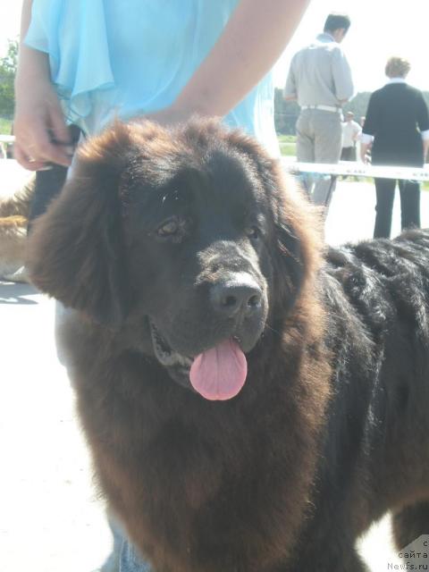 Фотография № 42805