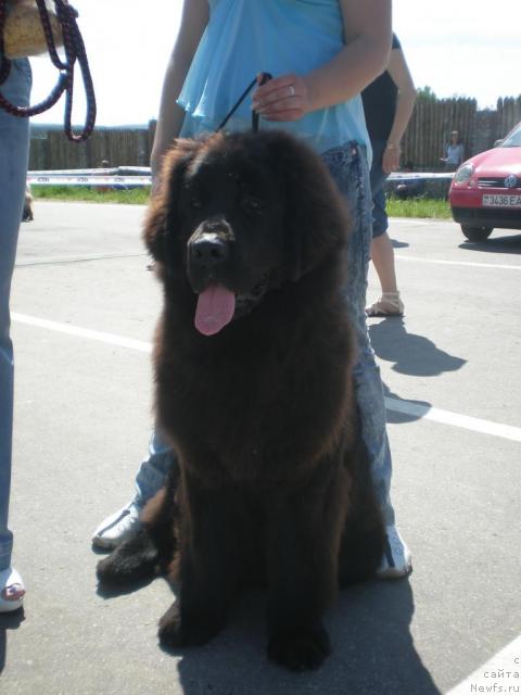 Фотография № 42806